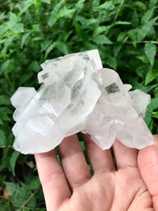 Clear Quartz Crystal Cluster Specimen